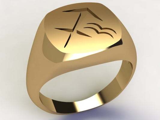 Anello Sagittario / Acquario Oro 18k