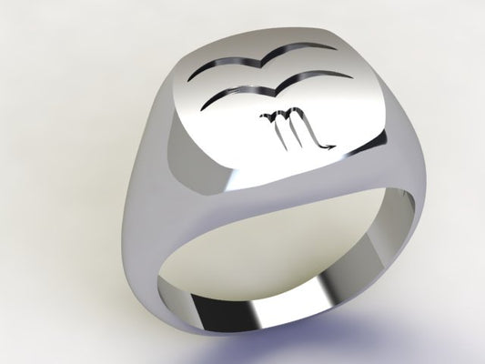 Anello Acquario / Scorpione Argento 925
