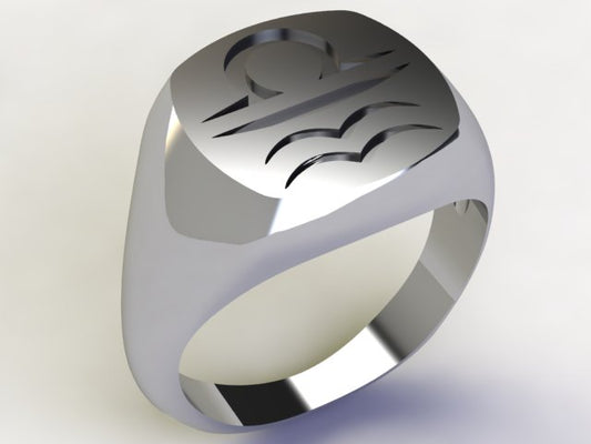 Anello Bilancia / Acquario Argento 925