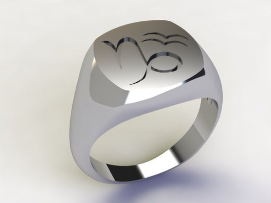 Anello Capricorno / Acquario Argento 925