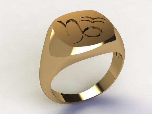 Anello Capricorno / Acquario Oro 9k
