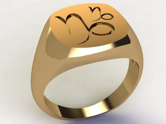 Anello Capricorno / Capricorno Oro 9k