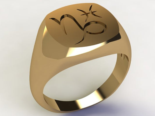 Anello Capricorno / Pesci Oro 9k