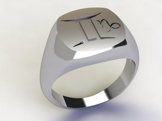Anello Gemelli / Capricorno Argento 925