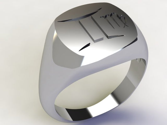 Anello Gemelli / Vergine Argento 925