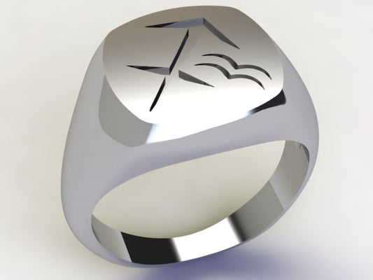 Anello Sagittario / Acquario Argento 925